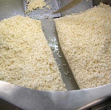 Pump for cheese grain