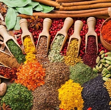 Pump for spice and salt