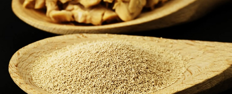 Levadura para cerveza, licores, whisky