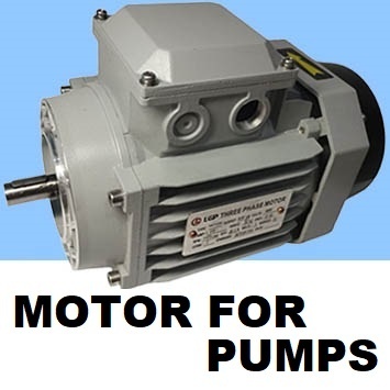 Electric motors for pumps