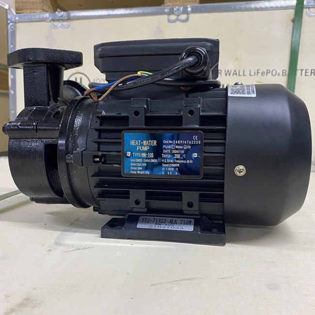 Bombas de aceite de vórtice WM